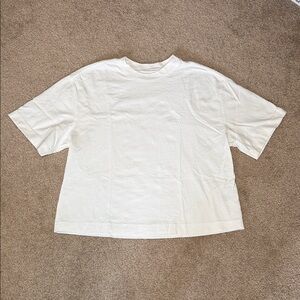 Everlane Premium Weight Relaxed Tee